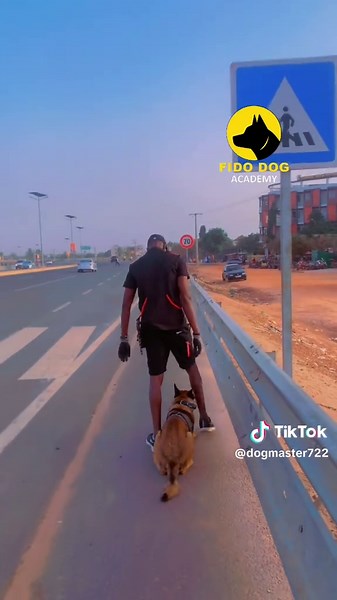 Walking with malinois #gambian_tiktok🇬🇲🇬🇲