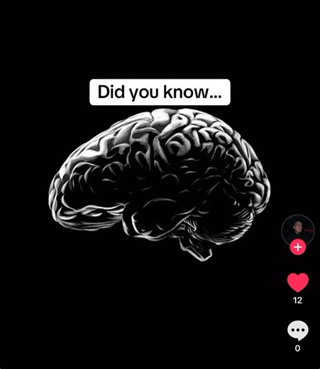 Did you know bipolar disorder is one of the most heritable mental illnesses?