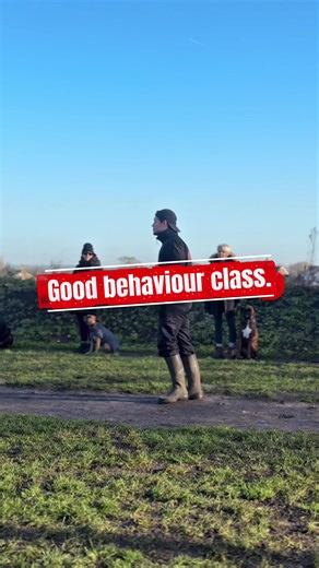 Unleashed good behaviour class - proof testing your dogs training for the real world. #DogTraining #fyp #DogsOfTikTok #dogs #trainyourdog
