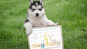 6 charts that show renewable energy is getting cheaper