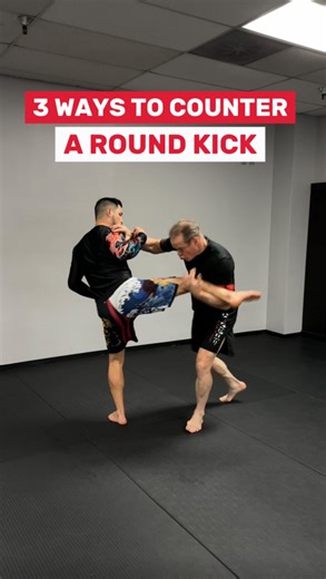 3 ways to counter a round kick! 🦵💥 #martialarts #martialartist #roundkick #mma #martilartstips #kickboxing | Dave Kovar