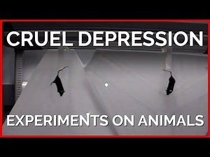 Cruel Depression Experiments on Animals