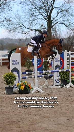 We have received significant interest from both vendors and buyers in the Copper Beach Sale. Ed recently spoke with two of our selectors, Sally Parkyn and Andrew Williams, to discuss the type of horses they are seeking for this inaugural sale.🐴 Applications are now open for The Copper Beach Sale, a new select sport horse sale for eventers and showjumpers. The sale will take place on 25 May 2026 at the Goresbridge Sales Complex and will feature a carefully curated selection of experienced 4 & 5 