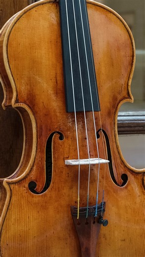 GAZZINI Violin | 香港提琴製作學院🇭🇰 | 🎻A beautiful Stradivarius “Dolphin” copy made by Dennis Lee, our co-founder. @dennislsw 🪵All materials are carefully selected for this... | Instagram