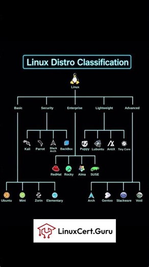 Linux Distro Classification 🐧 | Which Linux Distro Are You Using?