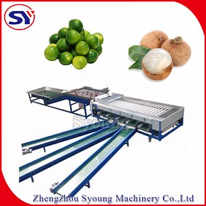 [Hot Item] Sugar Orange Avocado Fruit Sorting Grading Machine