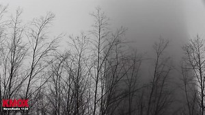 9.1K views · 140 reactions | Do you share Kevin Killeen's opinion on February? For more content, download the Audacy app and favorite KMOX: https://bit.ly/KMOX_App | KMOX News | Facebook