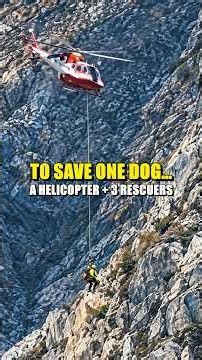 One Man Wouldn’t Give Up—And Got a Helicopter Sent to Save a Dog #dogrescue