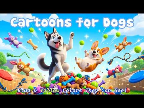 12 Hours Cartoon for Dogs, in Colors Dog Love! | Entertainment Videos for Home Alone Dogs with Music