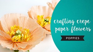 Crafting Crepe Paper Flowers: Poppies | Heather Grimstead | Skillshare