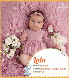Lala Name Meaning, Origin, History, And Popularity