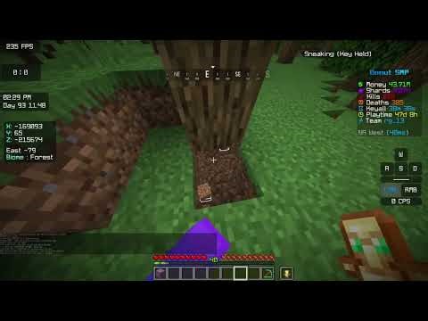 Donutsmp.net get me media rank please