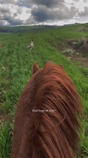 #الشعب_الصيني_ماله_حل😂😂 🥰🇩🇿