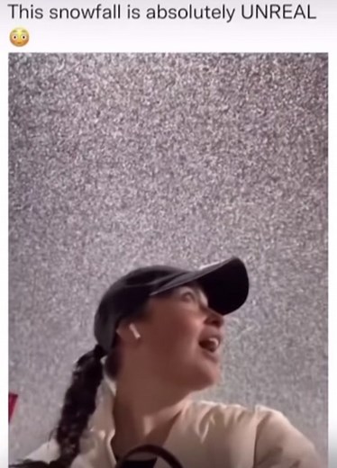 #minecraft #snowfall #fyp