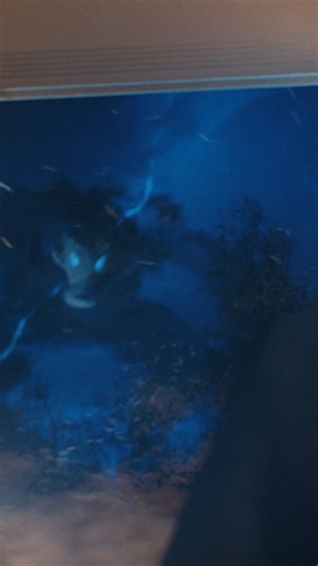 Winter can be a monster. Watch our new YouTube video and see why the Flex Seal Family of Products is the go-to for defending your home before, during, and after winter! | Flex Seal