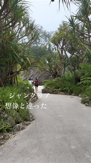 正直、行く前と印象が変わった場所。 キャストさんの笑顔が本当に素敵で、 どのアトラクションもほぼ待ち時間なし。 コンパクトだから移動もしやすくて、 大人も楽しめるテーマパークでした。 内容はあえて見せすぎません。 これは実際に体験してほしい🌴✨ #ジャングリア #沖縄旅行 #沖縄観光 #テーマパーク #沖縄おすすめスポット