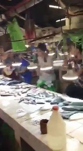 254K views · 4.2K reactions | JOSE MARI CHAN WHO? A group of...