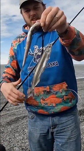 Our Simple Rig For Catching Halibut From The Beach