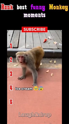 🤣Funniest 😱😰Monkey Fails 🙉Ranked! 🐒🤣 #Shorts😆 #funnyfails #monkeyfails