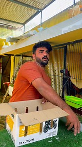 #Aseel | Farming Hope