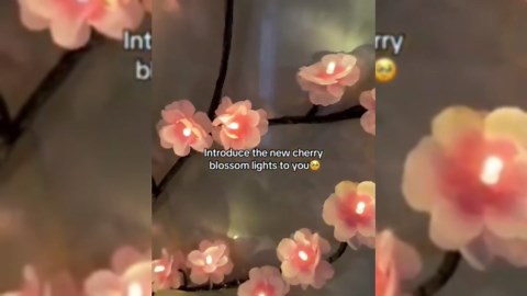 Cherry LED Tree Branch Lights for Wall, Cherry Blossom Willow Vine Twig Decor Garland with 48 LED Lights and Remote,8 Lighting Modes,Christmas Decorations Indoor for Home Wall Door Window (47inch)