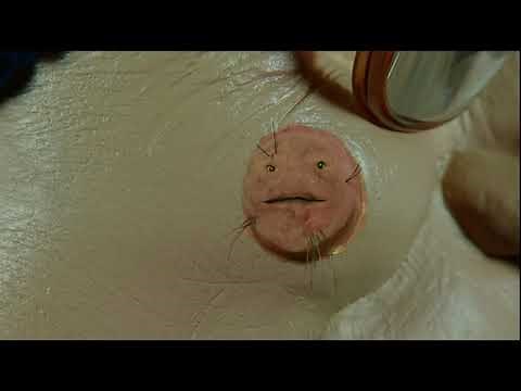 Bo Selecta S1 - The Week in Whole by Enrique's Mole