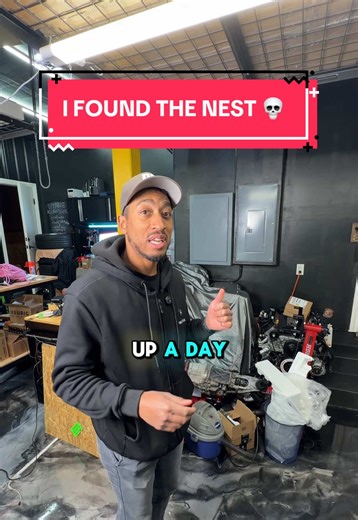 Dealing with a Rat Infestation in My Car Collection