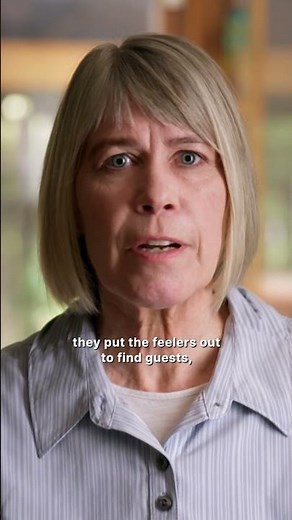 The Jerry Springer Show: Outrageous and Controversial