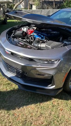 duPont REGISTRY on TikTok