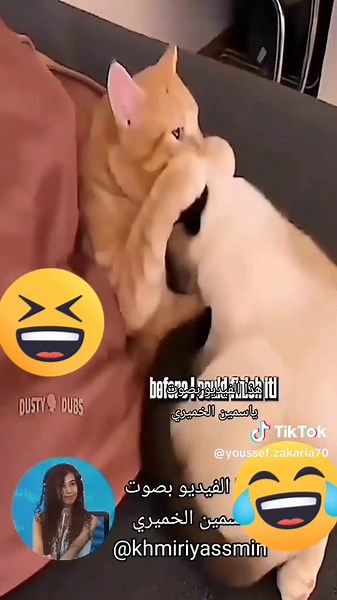 Youssef Zakaria sur TikTok