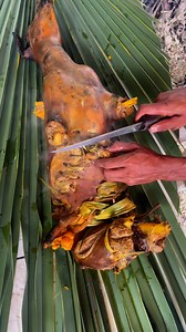 30 reactions · 8 comments | #goatmeat #yellowcorn #spidershells Sarap | Elvin Pelayo | Facebook