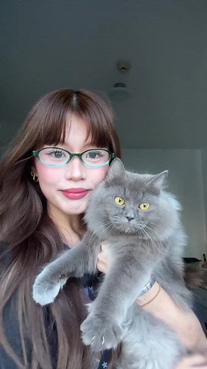 Stylish Eyeglasses Collection for Women