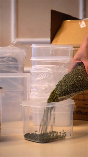 High-quality food storage containers now on clearance sale! Click the display window to purchase—last few days, don't miss out!#foodorganizer #foodstorage #clearanceshopping #homeimprovement #tiktokshopjumpstartsale