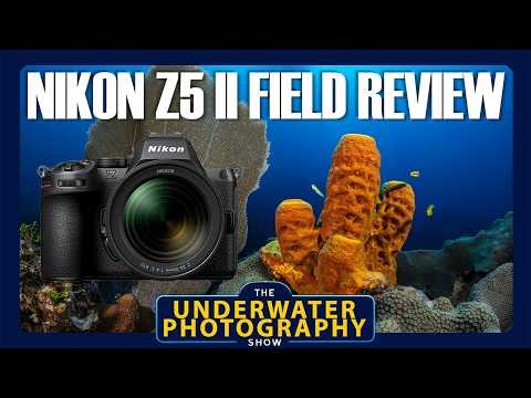 Field Review: Nikon Z5 II, the camera you didn't realise you needed to know about
