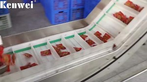 1.3K views | Kenwei Vertical Form Fill Seal (VFFS) System With pill...