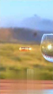 The Magic of Science: Easy Home Experiments for Beginners! (USA, UK, Canada & More) #science #usa