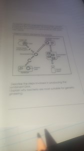 by gergineneeridiagram below represents the process.Human c... | Filo