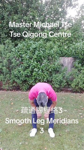 2.6K views · 40 reactions | 疏通腳經絡3 Smooth Leg Meridians 3 #qigong #health #healing #relax #circulation #heart #lungs #kidneys #氣功 #健康 #放鬆 #血液循環 #breathing #呼吸 #joints #metabolism #心 #肝 #脾 #肺 #腎 #exercise #練習 | Tse Qigong Centre | Facebook