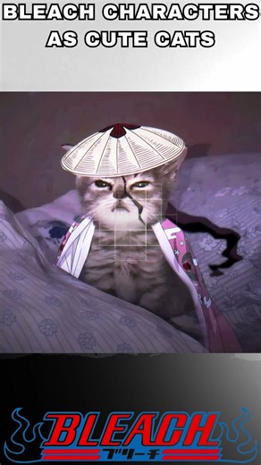 Bleach characters as cute cats