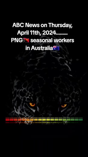PNG Seasonal Workers Concerns and Incidents in Australia