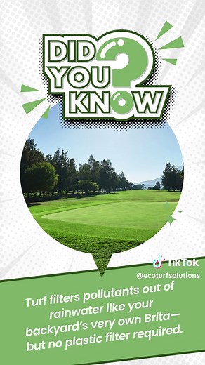 Eco-Conscious Turfgrass: Quick Recovery for Active Landscapes