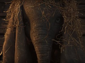 This will make you believe elephants can fly