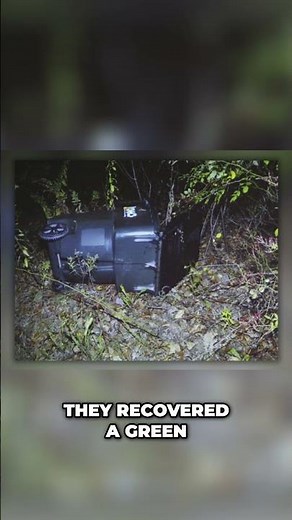 Colleen Ritzer Murder: The Shocking Truth Revealed