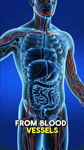 The Science of Mango Juice: Health Benefits and Effects on the Human Body #facts #health #science