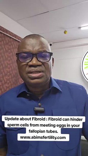 Understanding Fibroids and Their Impact on Fertility