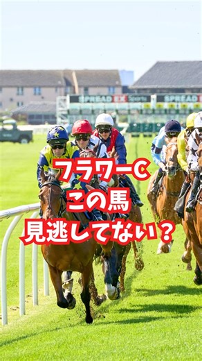 【警告】バレる前に見て。明日の中山で“激走”する爆弾馬。