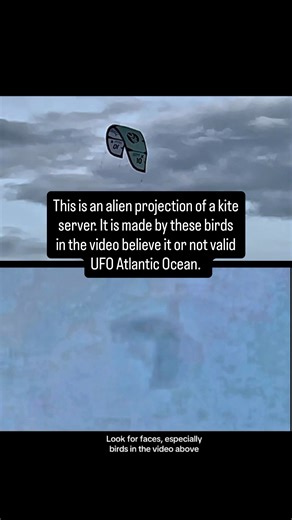 Brian Ladd on Instagram: "This is an alien holographic projection of a kite surfer believe it or not it doesn’t matter what’s on the screen. It’s all projections. They are made up of tiny little spacecraft, but more importantly, pay attention to the video on the bottom. Look for faces, especially birds. I slowed this down for you. When you see my screen glitch, just slow it down that’s all they want you to do. #kite surfer#Atlantic ocean#Atlantic ocean aliens My wife and I document UFO and alien