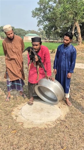 How is it possible to make a hawk with a baby goat?😲😲 #funnyvideos #foryouシ #viral