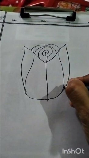 Yellow rose art. How to draw easily yellow rose art step by pencil #drawingguide #beginnerarttips