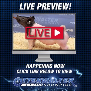 https://vimeo.com/event/5629748 | Ottenwalter Showpigs